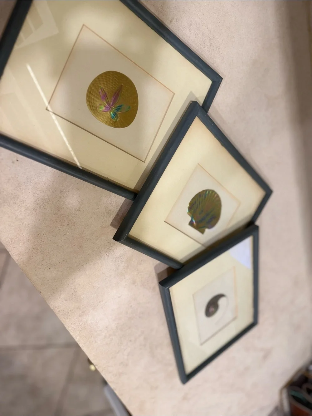 coastal, Palm Beach, Hollywood Regency / vintage seashell art work- set of three